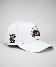 JORDAN 23 Cap