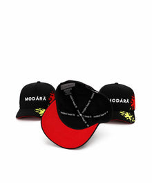 Noah's Ark Splash Cap